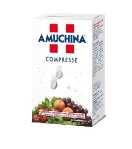 AMUCHINA-24CPR 1G
