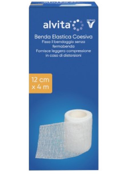 ALVITA BENDA ELASTICA COES12X4