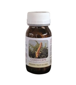 DR POCK CORDYCEPS 50CPS