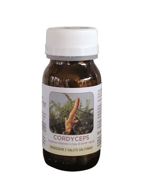 DR POCK CORDYCEPS 50CPS