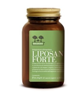 SALUGEA LIPOSAN FORTE 62 CAPSULE