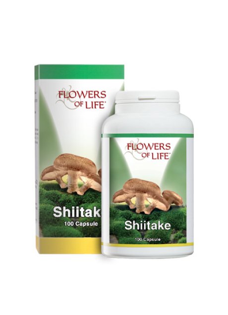 SHIITAKE 100CPS FLOWERS OF LIF