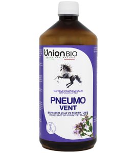 PNEUMO VENT 1L