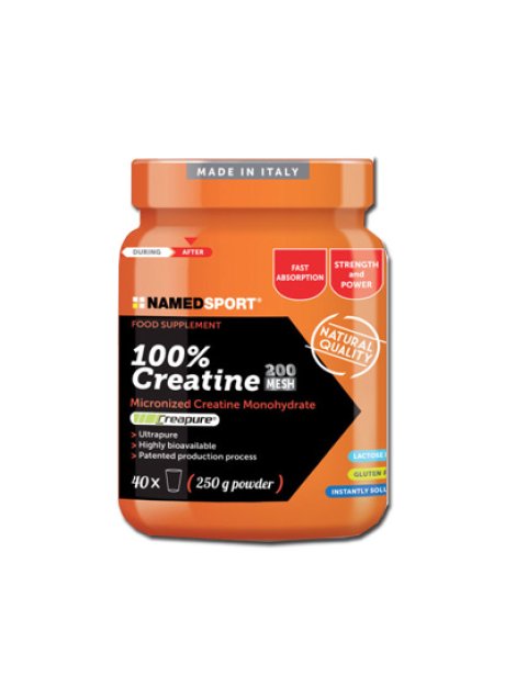 CREATINA 100% 500G