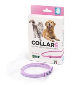 COLLARE' COLLARE AZ PROF ROSA