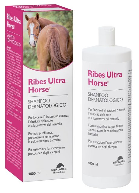 RIBES HORSE SHAMPOO BALS ULTRA