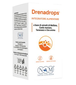 DRENADROPS SOLUZ IDROALC 100ML