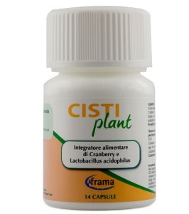CISTIPLANT 14CPS 9G