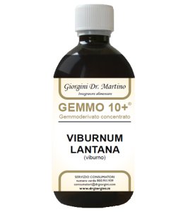 VIBURNO LIQ ANALCOLICO 500ML