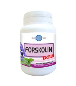 FORSKOLIN FORTE 60CPS