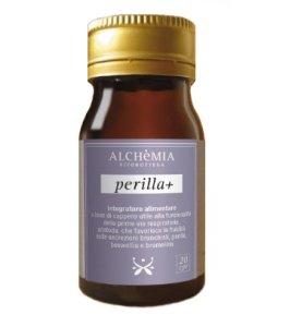PERILLA+ 20CPR