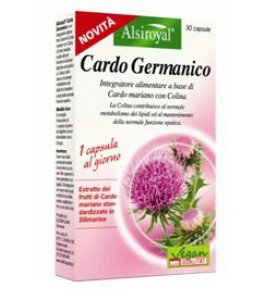 CARDO GERMANICO 30CPS