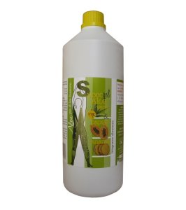 SUCCO GEL ALOE PAPAIA ANANAS