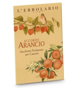ARANCIO SACCHETTO PROFUMATO PER CASSETTI