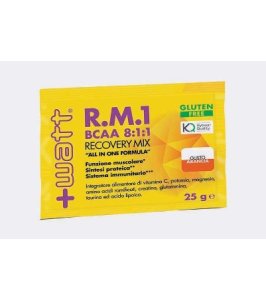 RECOVERY MIX BCAA 25G