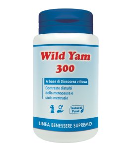 WILD YAM 300 20% 50CPS NAT/POINT