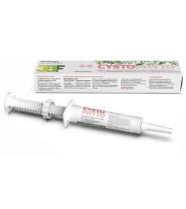 CYSTOPHYTO PASTA SIRINGA 30 G