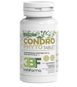 CONDROPHYTO 60CPR 1G