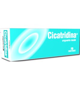 CICATRIDINA UNGUENTO NASALE 15 G