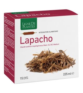 LAPACHO 15FLL 15ML LIGNE DE PLAN