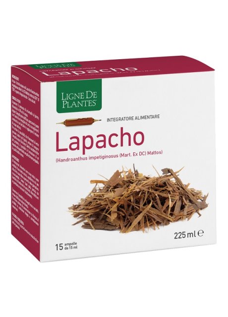 LAPACHO 15FLL 15ML LIGNE DE PLAN