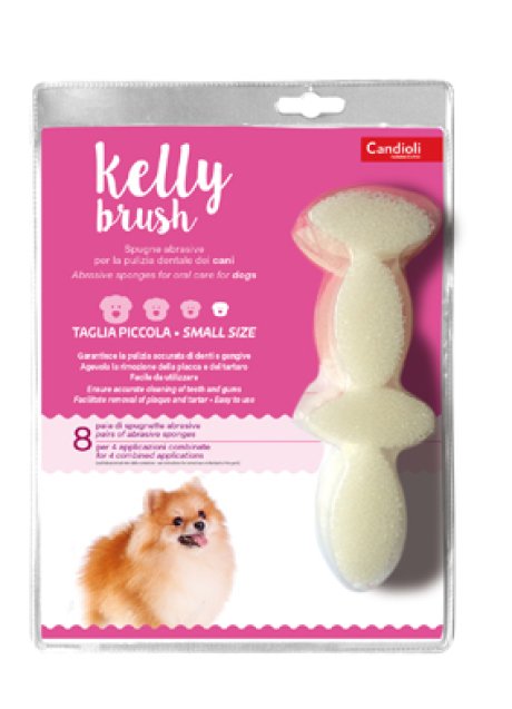KELLY BRUSH SPUGNETTA PIC 16PZ