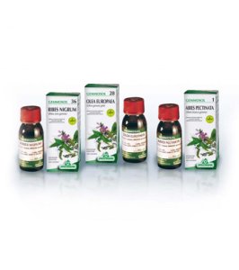 GEMMOSOL 24 FICO 50ML