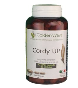 CORDY UP 90MAXI CPS