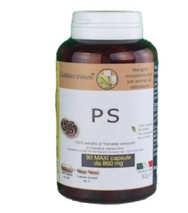 PS 90MAXI CPS