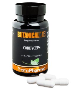 CORDYCEPS BOTANICAL 60CPS