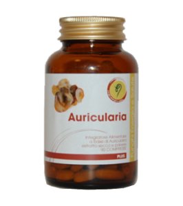 AURICULARIA LINEA PLUS 90CPR