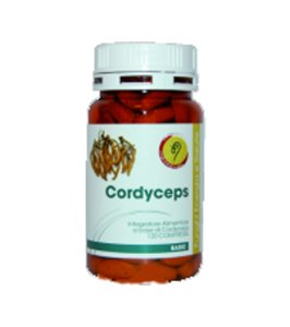 CORDYCEPS LINEA BASIC 120CPR