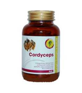 CORDYCEPS LINEA PLUS 90CPR