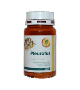 PLEUROTUS LINEA BASIC 120CPR