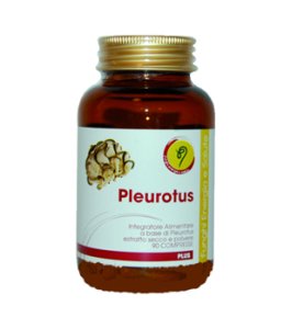 PLEUROTUS LINEA PLUS 90CPR