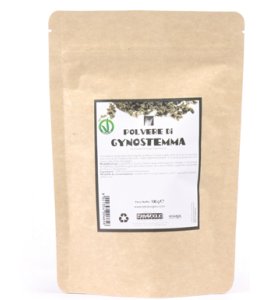 GYNOSTEMMA POLVERE 100G
