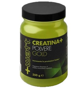 CREATINA+ POLVERE GOLD 350G
