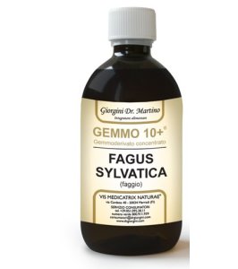 FAGGIO 500ML ANALCO GEMMO 10+