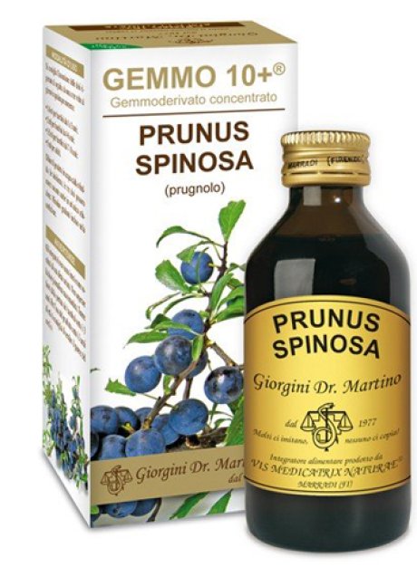 PRUGNOLO 100ML ANALCO GEM 10+