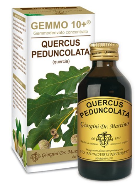 QUERCIA 100ML ANALCO GEMMO 10+
