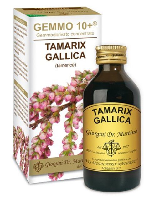 TAMERICE 100ML ANALCO GEMMO10+