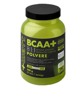 BCAA+ 811 POLVERE APPLE 300G