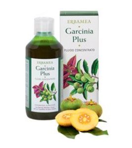 GARCINIA PLUS FLUIDO CONC500ML