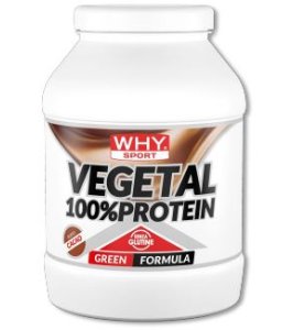 100% VEGETAL PROTEIN CACAO750G