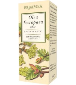OLEA EUROPEA OLIVO BIO 50ML