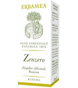 ZENZERO 10ML ERBAMEA