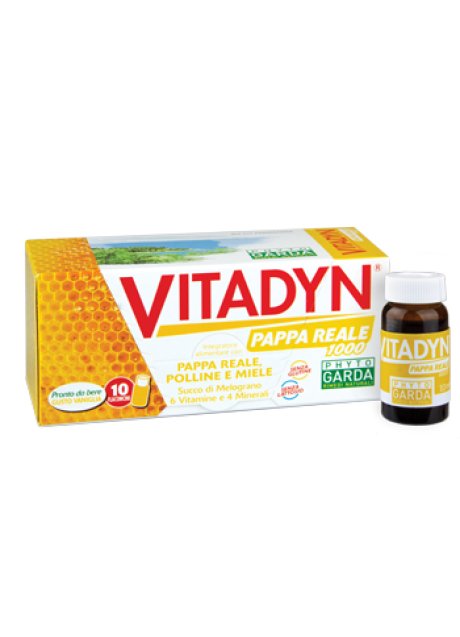 VITADYN PAPPA REALE 1000 10FL