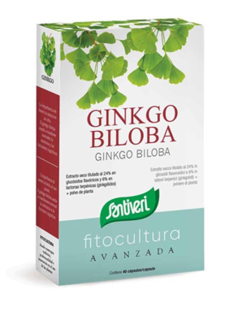GINKGO BILOBA 40CPS