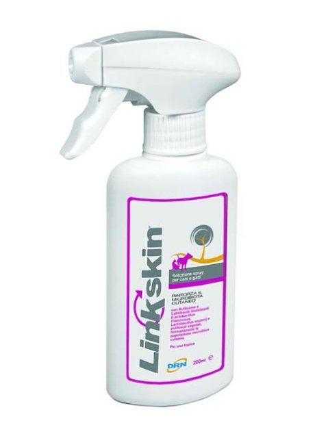 LINKSKIN SPRAY 200ML