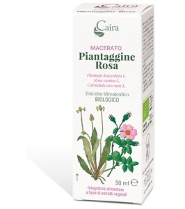 PIANTAGGINE RA MACERATO CAIRA